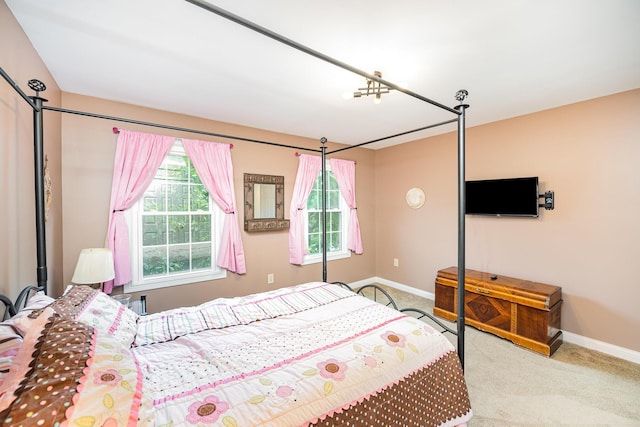 10659 Mountain Laurel Way, Union, KY 41091 - carpeted bedroom featuring baseboards