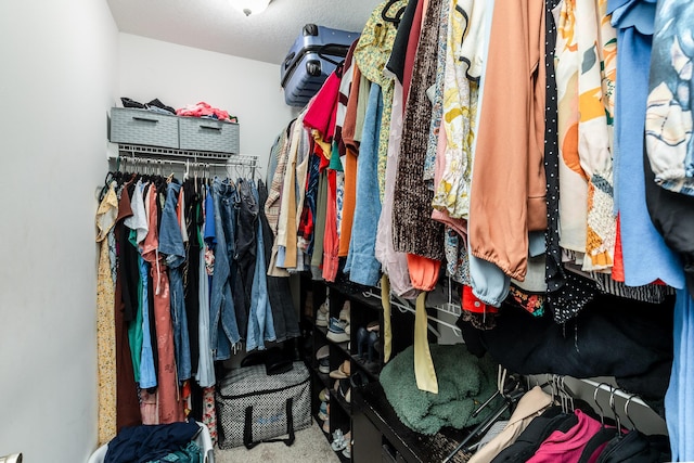 857 Slate Vw, Cold Spring, KY 41076 - view of walk in closet
