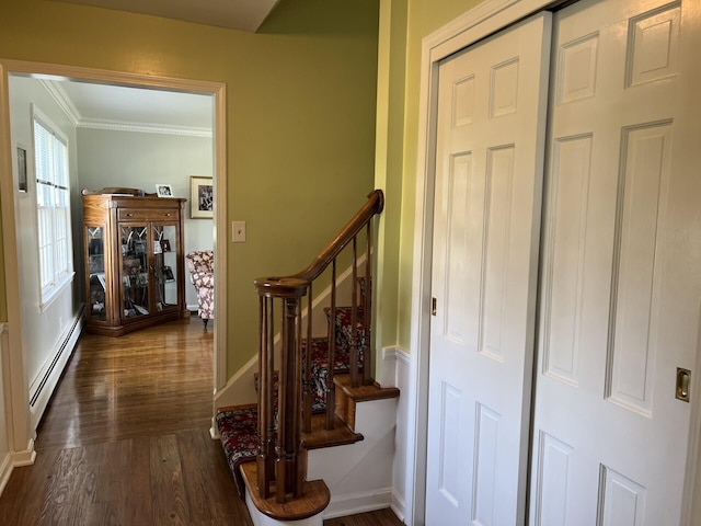 11 Alanna Dr, Wilder, KY 41076 - hall with a baseboard radiator, crown molding, dark wood finished floors, and stairs