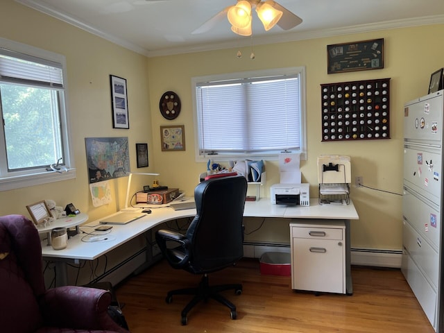 11 Alanna Dr, Wilder, KY 41076 - office space with baseboard heating, light wood-style floors, a ceiling fan, and ornamental molding