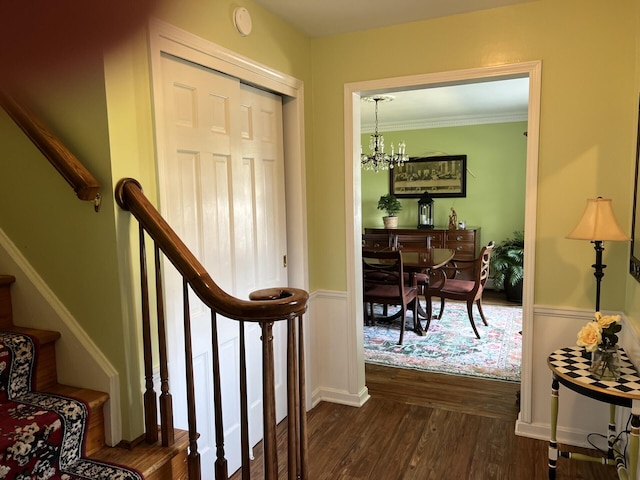 11 Alanna Dr, Wilder, KY 41076 - hall featuring dark wood-type flooring, a chandelier, wainscoting, stairs, and crown molding