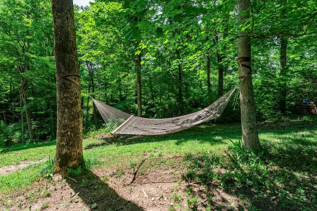 2709 Longbranch Rd, Union, KY 41091 - view of woods