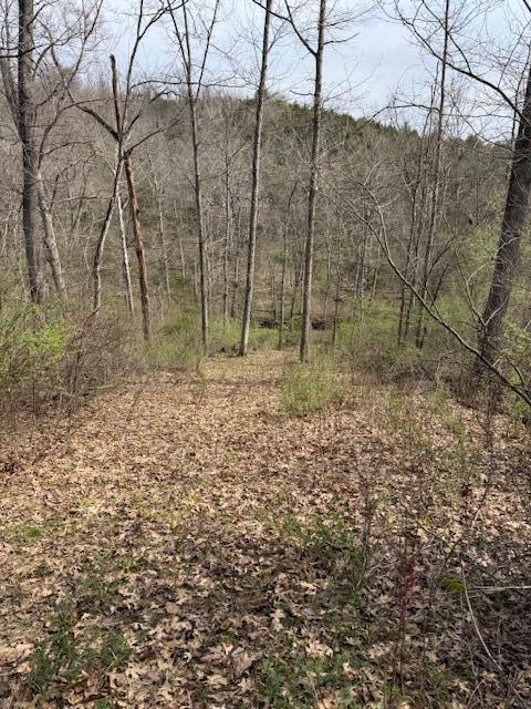 2418 Hempfling Rd, Morning View, KY 41063
