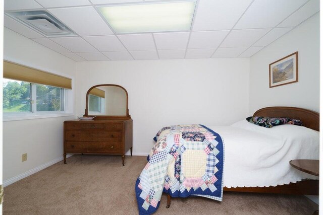 350 Leon Blvd, Williamstown, KY 41097 - bedroom featuring a paneled ceiling, carpet flooring, and baseboards