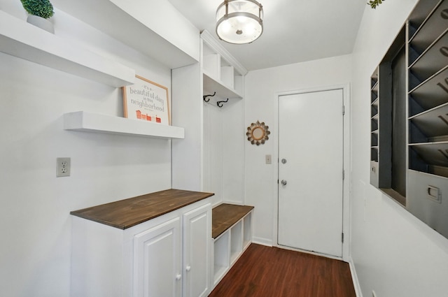 856 Moonstone Ct, Crescent Springs, KY 41017 - mudroom with dark wood-style flooring