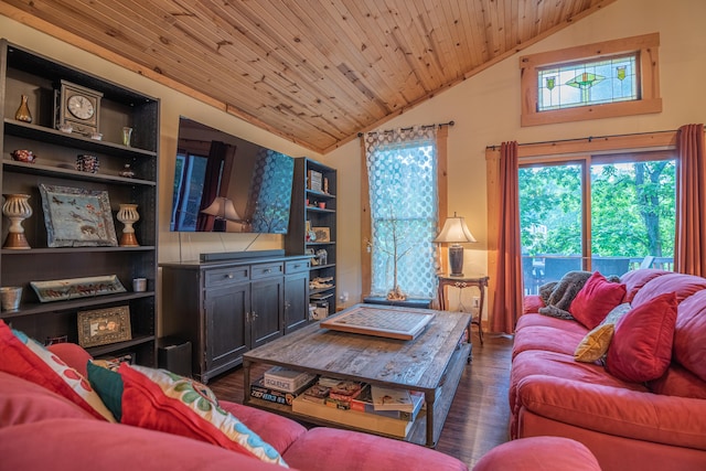 1145 Hillandale Dr, Sanders, KY 41083 - living area with vaulted ceiling, dark wood-type flooring, and wood ceiling