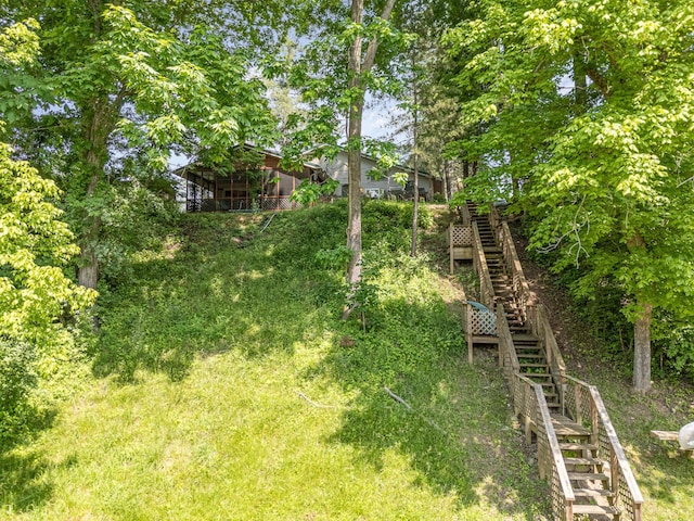 1145 Hillandale Dr, Sanders, KY 41083 - view of yard with stairs