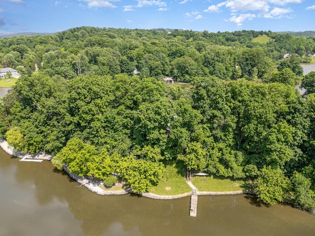 1145 Hillandale Dr, Sanders, KY 41083 - aerial overview of property's location with a nearby body of water and a heavily wooded area