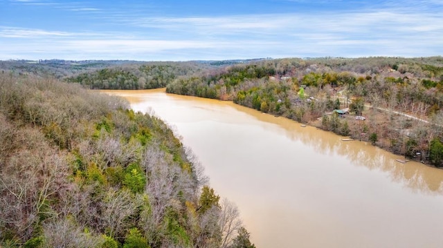 873 Buckeye Hills Rd, Falmouth, KY 41040 - bird's eye view of a forest and a nearby body of water