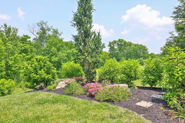 6520 Cannondale Dr, Burlington, KY 41005 - view of grassy yard