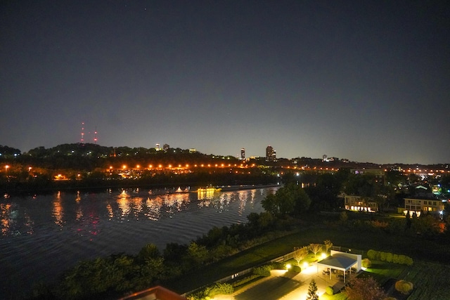 101 Harbor Greene Dr Unit W705, Bellevue, KY 41073 - water view