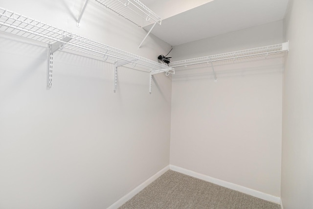 1546 Taramore Dr Unit 203, Florence, KY 41042 - spacious closet with carpet flooring