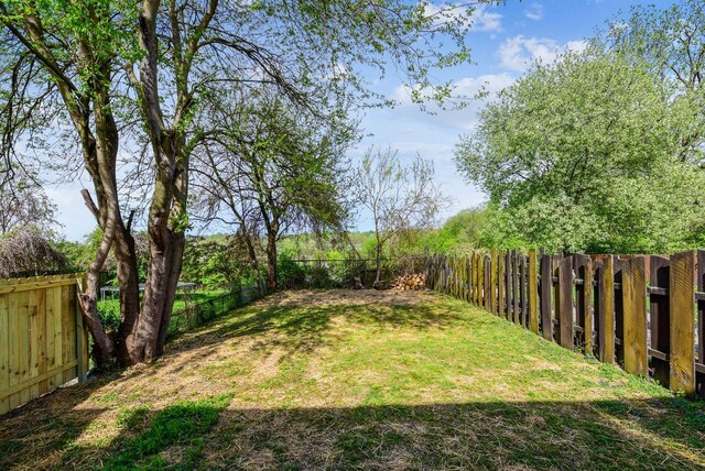 831 Linden Ave, Newport, KY 41071 - view of yard