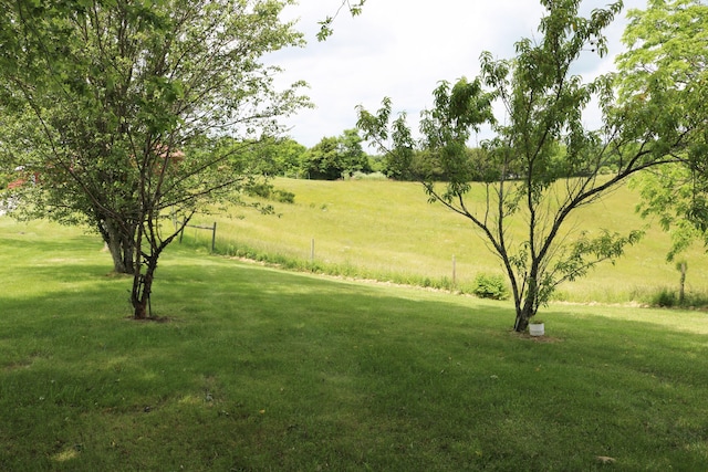 555 Breck Rd, Owenton, KY 40359 - view of grassy yard