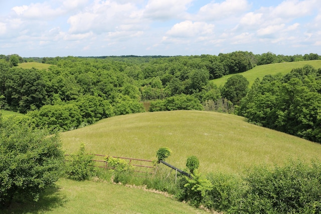 555 Breck Rd, Owenton, KY 40359 - drone / aerial view