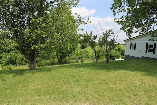 555 Breck Rd, Owenton, KY 40359 - view of grassy yard
