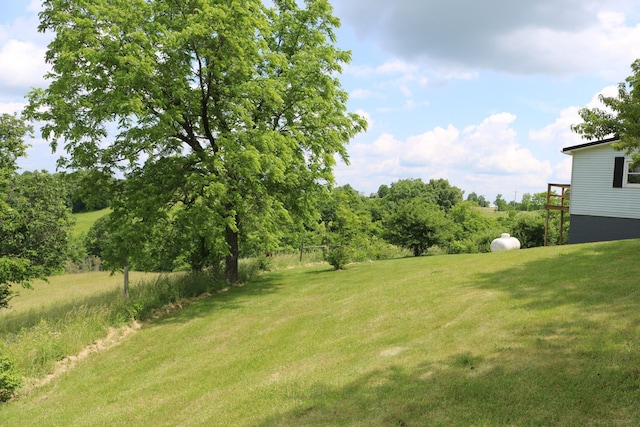 555 Breck Rd, Owenton, KY 40359 - view of grassy yard