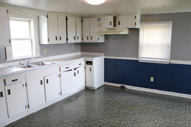 555 Breck Rd, Owenton, KY 40359 - kitchen with a sink, under cabinet range hood, baseboards, dark floors, and light countertops