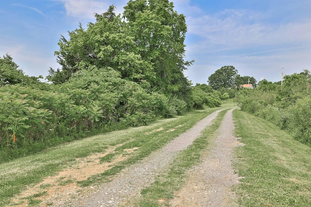 575 Stringtown Rd, Corinth, KY 41010 - view of street