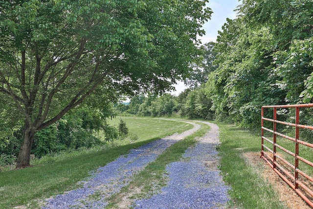 575 Stringtown Rd, Corinth, KY 41010 - view of dirt / gravel road with a view of trees