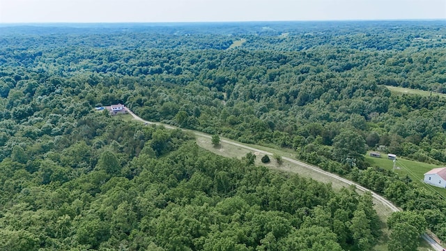 575 Stringtown Rd, Corinth, KY 41010 - aerial view of a heavily wooded area