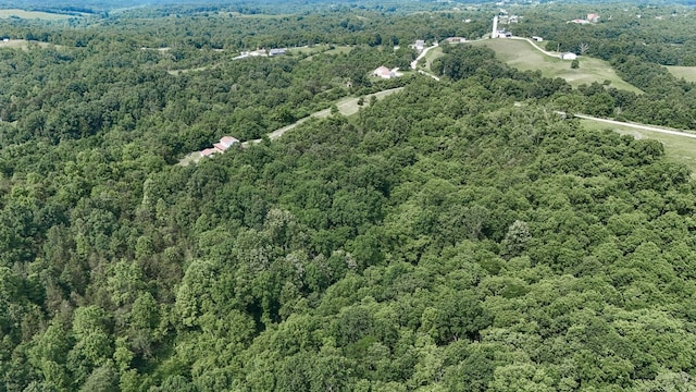 575 Stringtown Rd, Corinth, KY 41010 - drone / aerial view of a forest