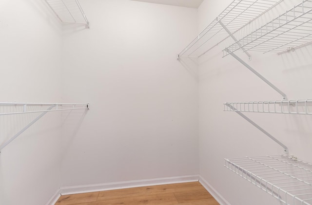2308 Sawmill Ct Unit 207, Burlington, KY 41005 - walk in closet with light wood-type flooring