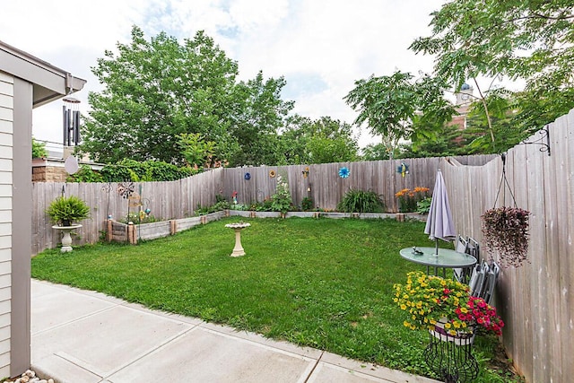 805 Ann St, Newport, KY 41071 - view of yard
