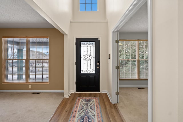 10335 Mackay Ct, Independence, KY 41051 - foyer entrance featuring baseboards, wood finished floors, and plenty of natural light
