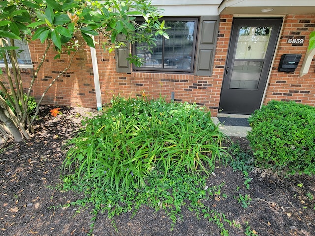 6859 Curtis Way, Florence, KY 41042 - doorway to property featuring brick siding