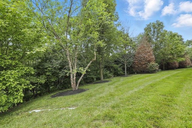 2225 Rolling Hills Dr, Covington, KY 41017 - view of green lawn featuring a view of trees