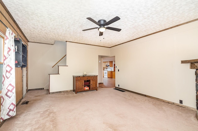 1923 Poplar Ridge Rd, Melbourne, KY 41059 - photo 27