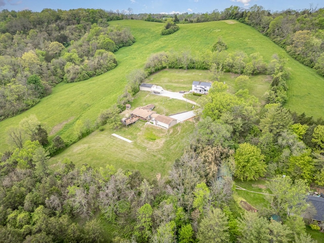 1923 Poplar Ridge Rd, Melbourne, KY 41059 - photo 44