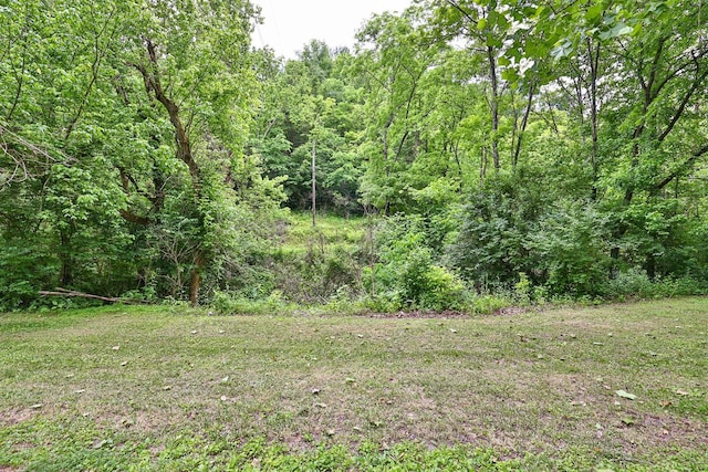 708 Lawrence Rd, Maysville, KY 41056 - photo 17