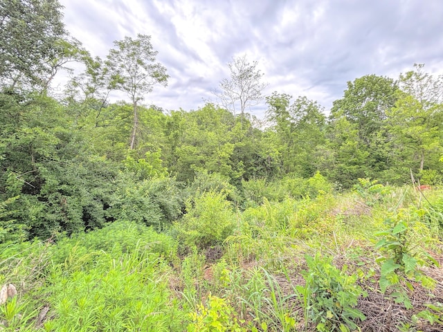 105 Jerome Ct, Cold Spring, KY 41076