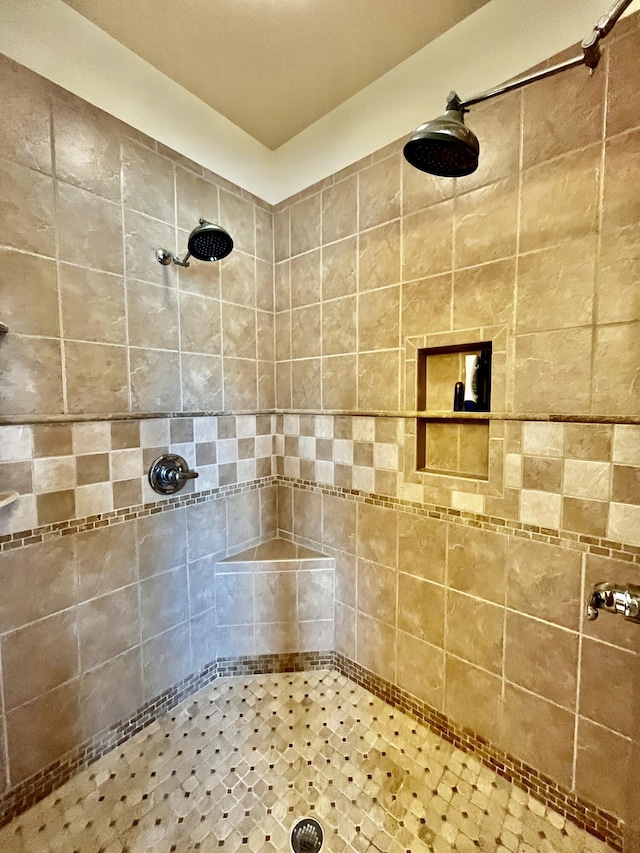 3745 Sweet Owen Rd, Owenton, KY 40359 - full bathroom featuring a tile shower