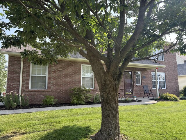 301 Fairway Dr, Dry Ridge, KY 41035 - obstructed view of property with brick siding, a front yard, and a shingled roof