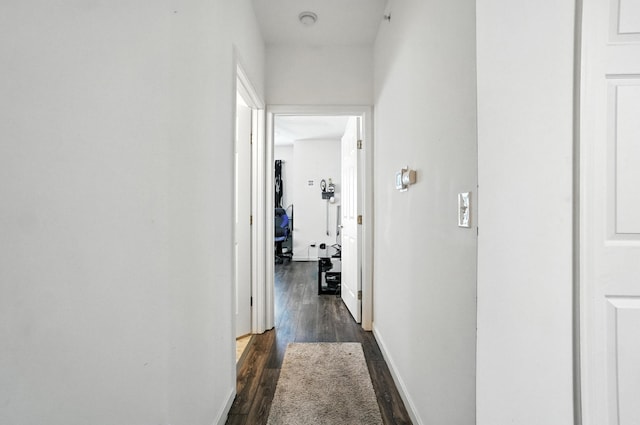 961 Mistflower Ln, Florence, KY 41042 - hall with dark wood-type flooring and baseboards