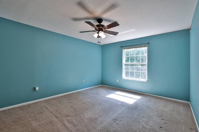 196 Langshire Ct Unit 13, Florence, KY 41042 - photo 18