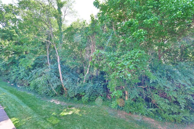 196 Langshire Ct Unit 13, Florence, KY 41042 - photo 31