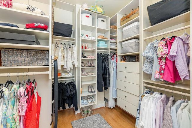 1217 Citation Dr, Union, KY 41091 - spacious closet featuring wood finished floors