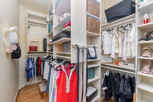 1217 Citation Dr, Union, KY 41091 - walk in closet with wood finished floors
