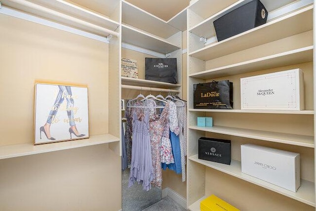 1217 Citation Dr, Union, KY 41091 - spacious closet with carpet flooring