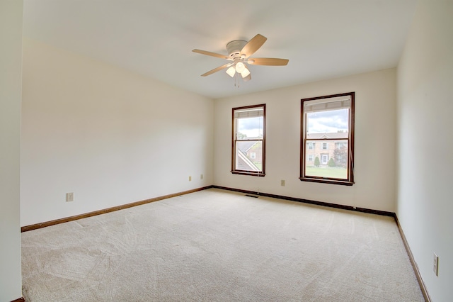 14 Fescue Ct, Florence, KY 41042 - photo 33