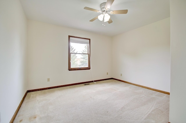 14 Fescue Ct, Florence, KY 41042 - photo 35