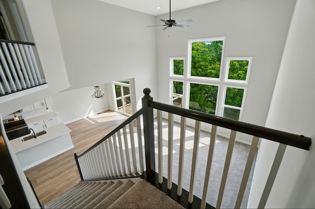 3226 Chloe Ct, Hebron, KY 41048 - stairs featuring wood finished floors, a chandelier, a high ceiling, and a ceiling fan