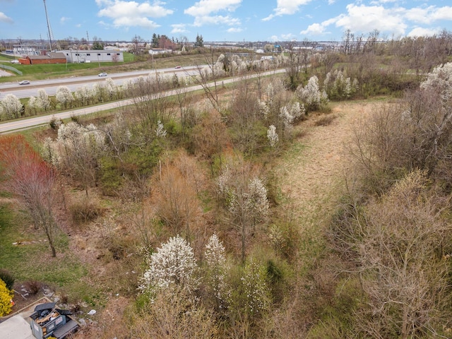 12885 Frogtown Connector Rd, Walton, KY 41094