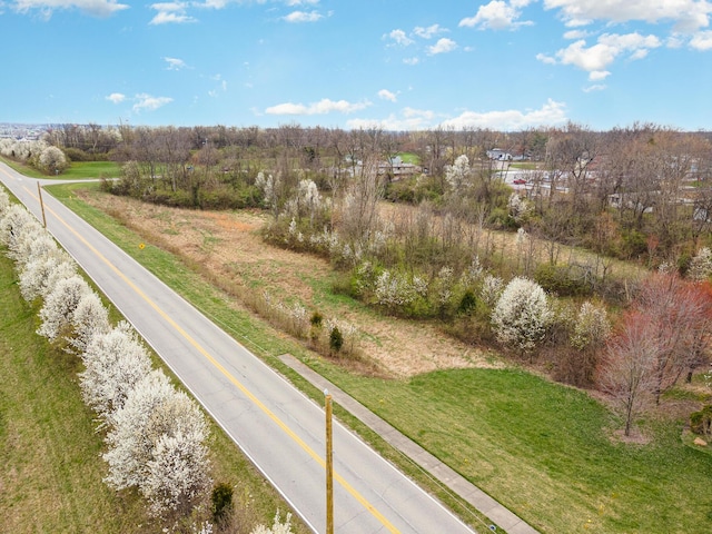 12885 Frogtown Connector Rd, Walton, KY 41094