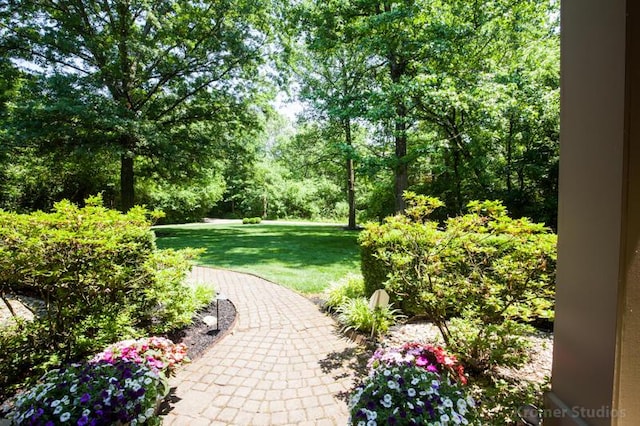 2507 Woodstone Way, Villa Hills, KY 41017 - surrounding community with a lawn