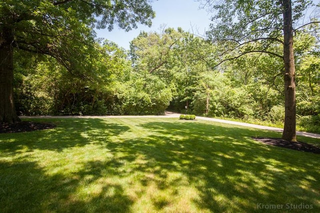 2507 Woodstone Way, Villa Hills, KY 41017 - view of green lawn featuring a view of trees
